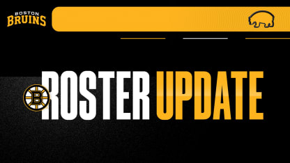 Bruins Announce Roster Transactions 